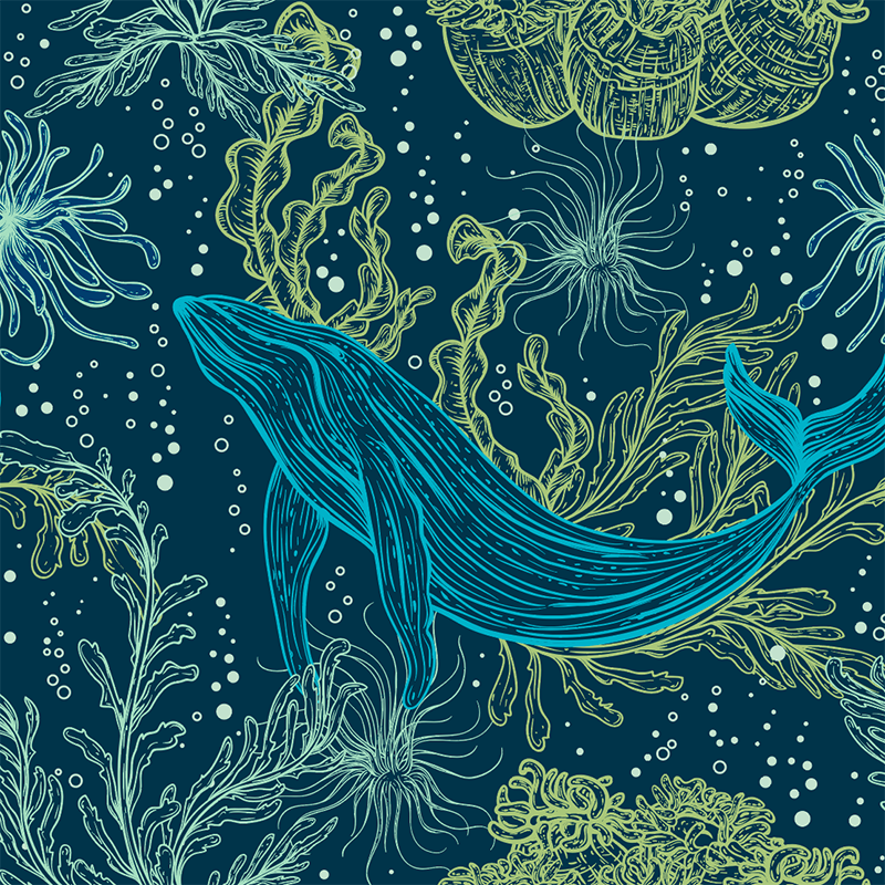 20oz TKWide with Twist Cap – Ocean Day