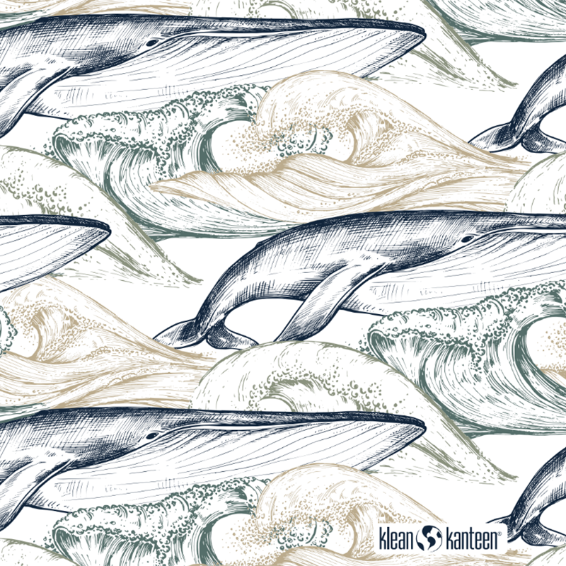 20oz TKWide with Twist Cap – Ocean Day